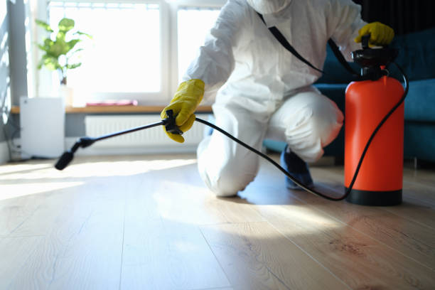 Reliable Odor Removal contractor in Lake Elsinore, CA by Trauma Clean Pros